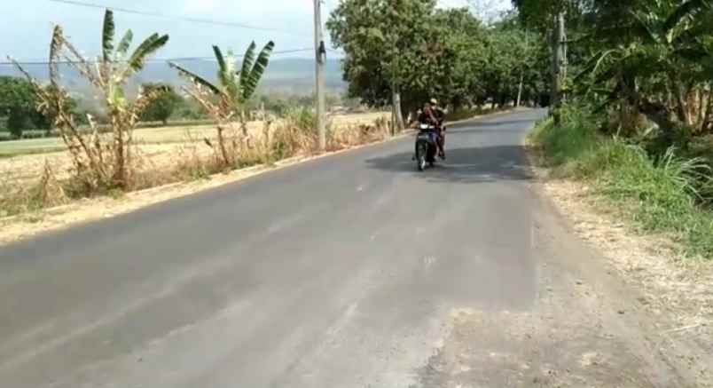 dijual tanah jalan raya purwodadi