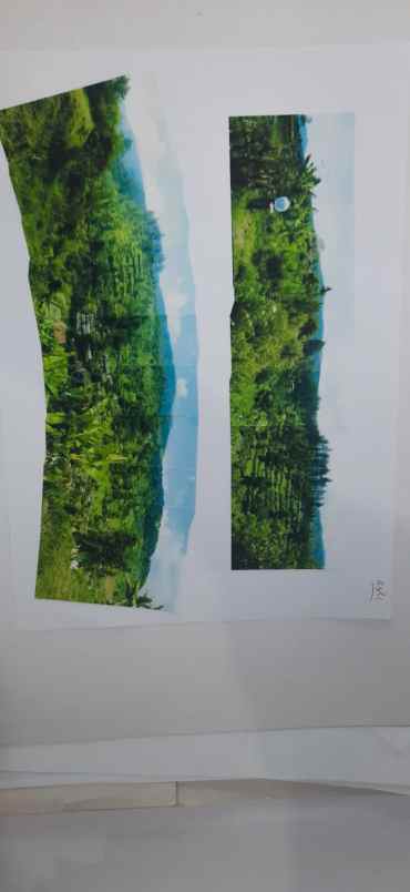 dijual tanah jl jayagiri rt 01 rw 08