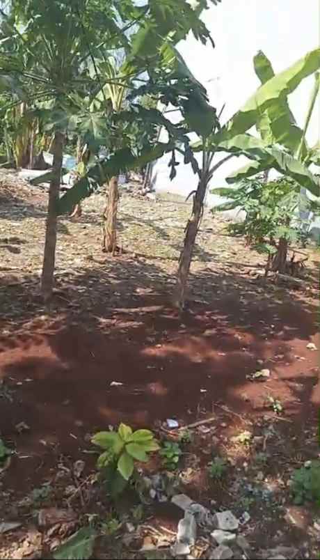 dijual tanah jl raya juanda