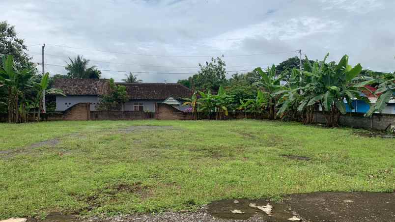 dijual tanah jl raya wates sentolo