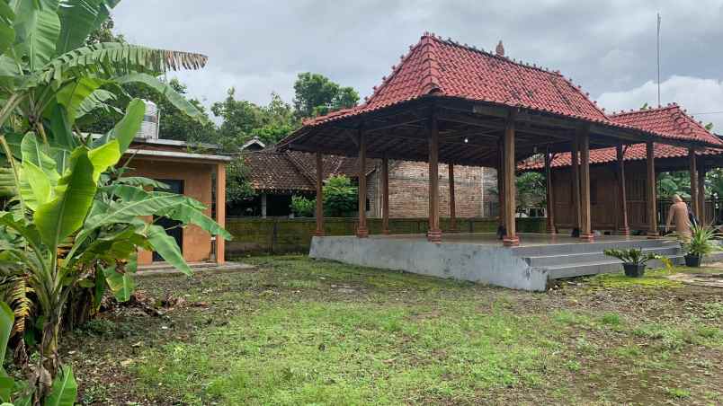 dijual tanah jl raya wates sentolo