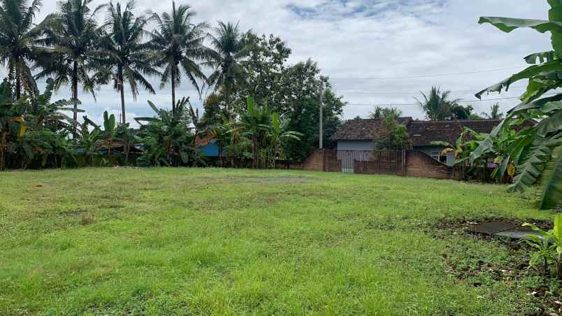 dijual tanah jl raya wates sentolo
