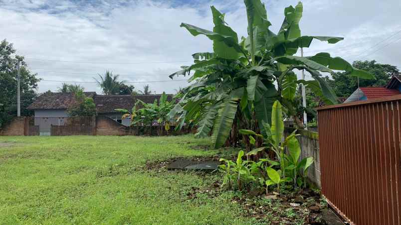 dijual tanah jl raya wates sentolo