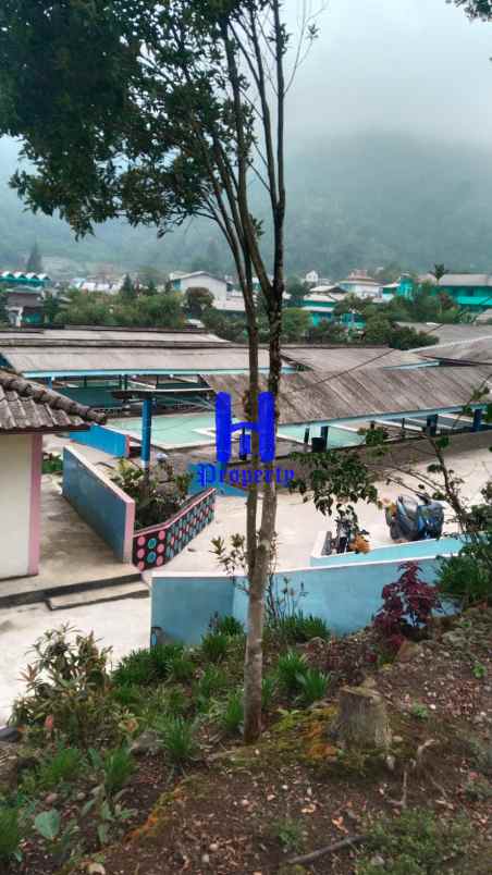 dijual tanah kabupaten karo desa