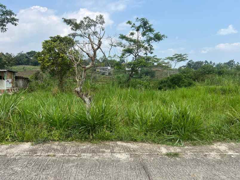 dijual tanah karangpandan karanganyar