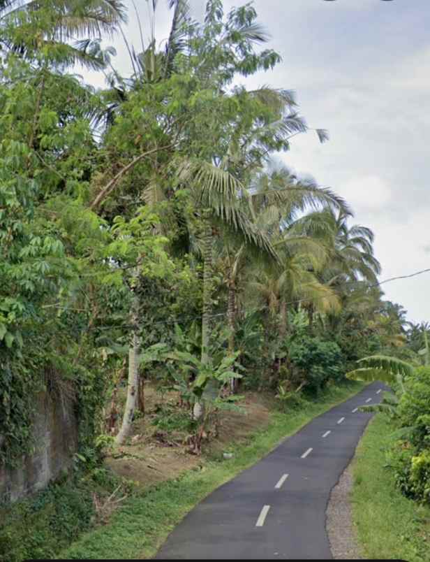 dijual tanah mundeh tabanan bali