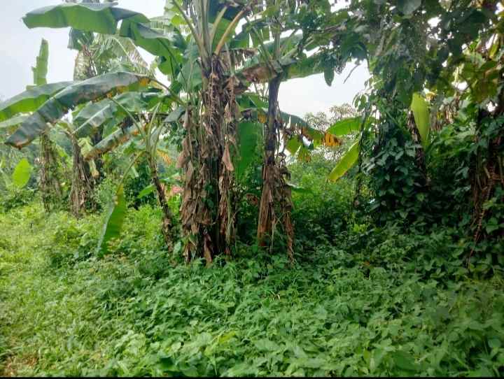 dijual tanah murah dan luas lingkungan penduduk