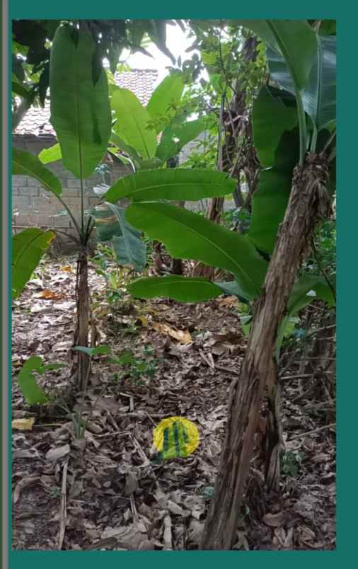 dijual tanah mustika sari