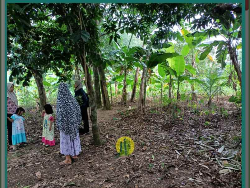 dijual tanah mustika sari