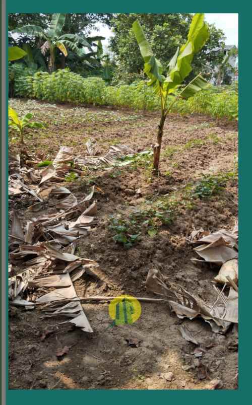 dijual tanah mustika sari