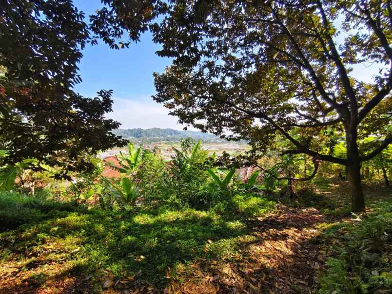 dijual tanah purasari