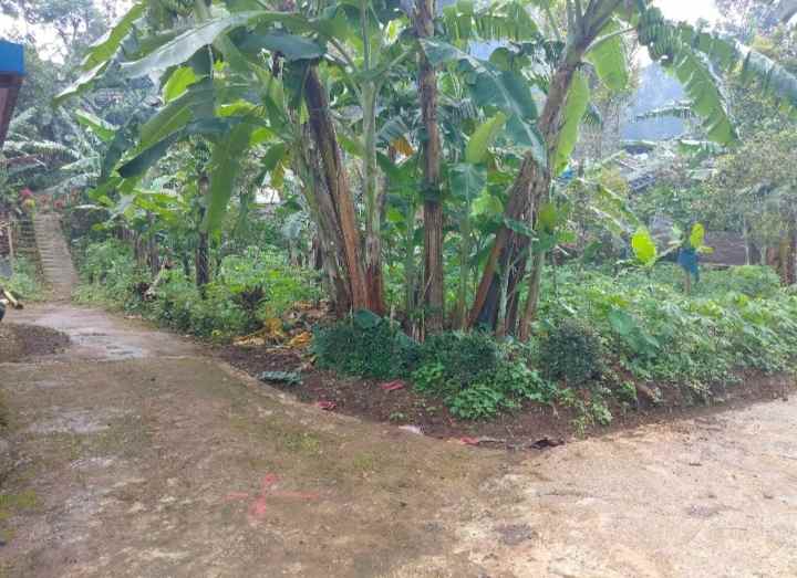 dijual tanah view bagus udara dingin