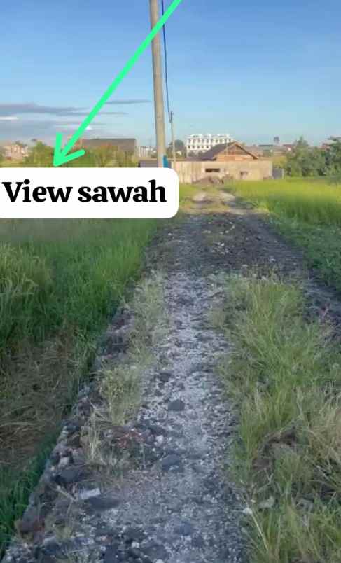 disewakan tanah seseh