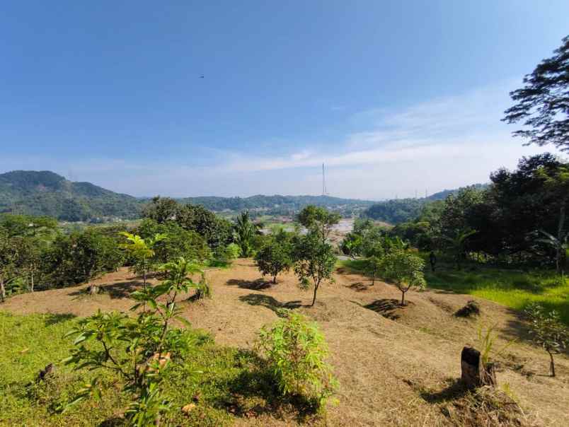 jual cepat tanah kebun durian 5 ha di leuwiliang bogor