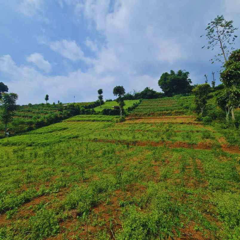 jual kavling tanah pinggir jalan raya pangalengan