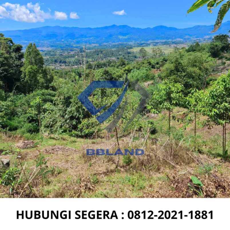 jual tanah murah cocok untuk villa di ciwidey