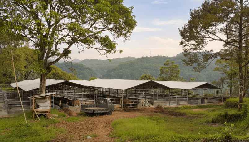 jual tanah peternakan sapi di bogor luas 7 5 ha
