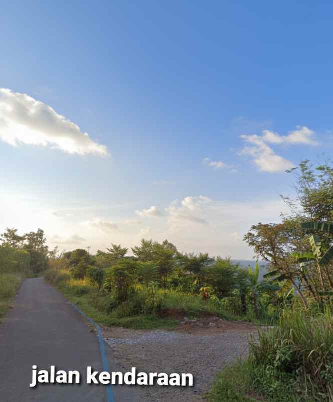 jual tanah peternakan sapi di bogor luas 7 5 ha