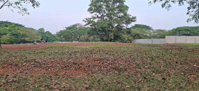 kavling 250 m2 boulevard raffles hills cibubur cibubur