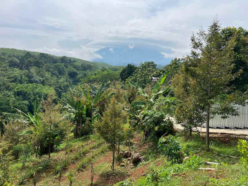 kebun durian bonus villa view gunung lawu karanganyar