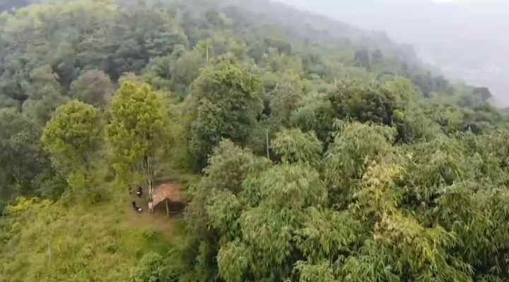 lahan kebun view bagus untuk perkebunan subang