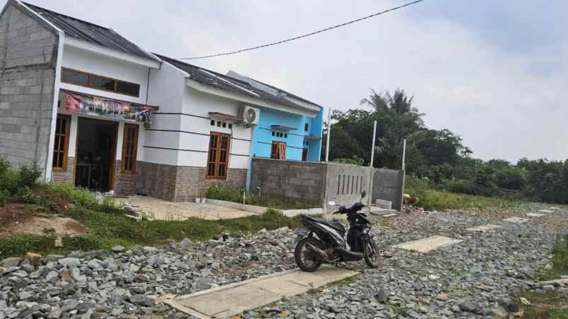 rumah bebas banjir tenjo