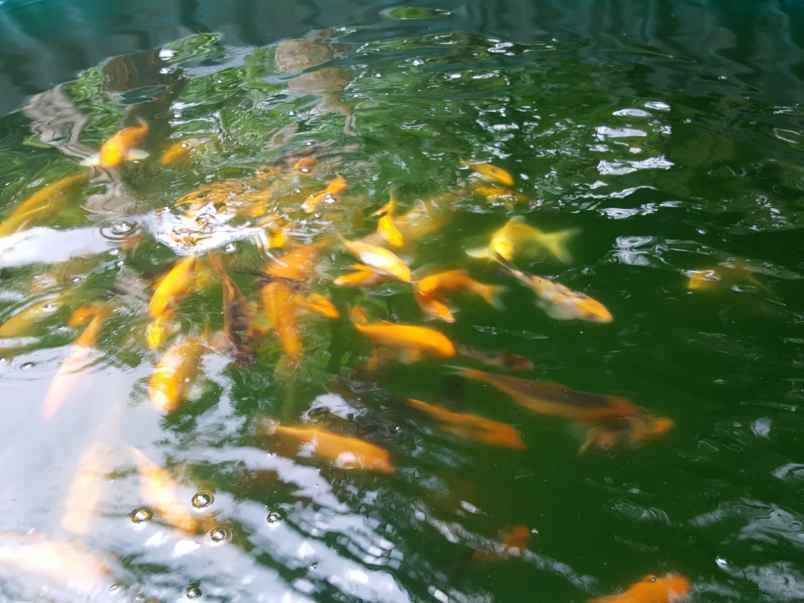 rumah cipinang melayu