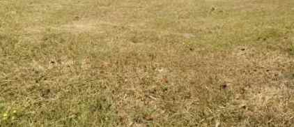 rumah hitung tanah sutorejo shm lebar 9