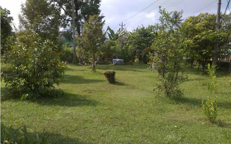 rumah mardi utomo salatiga