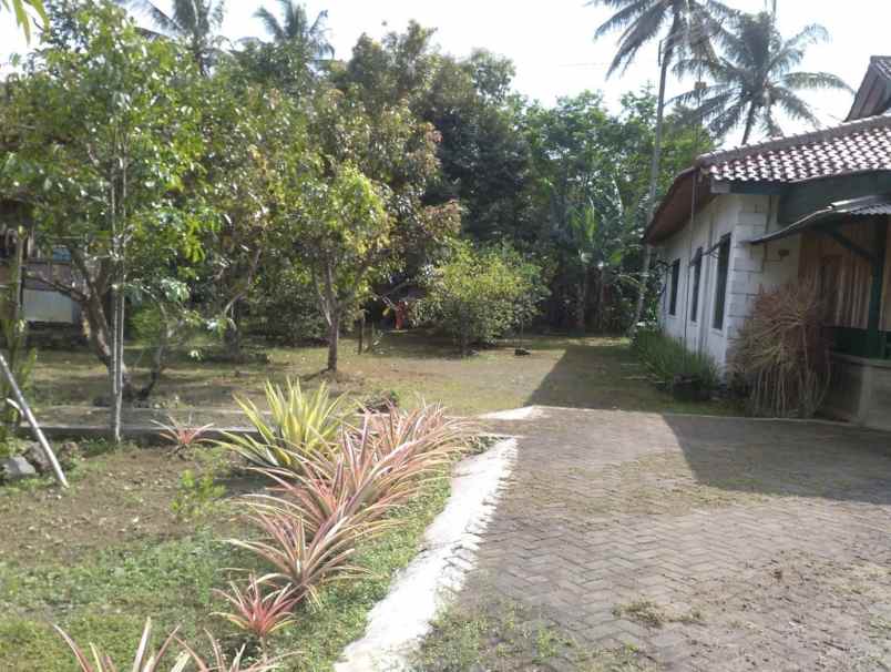 rumah mardi utomo salatiga
