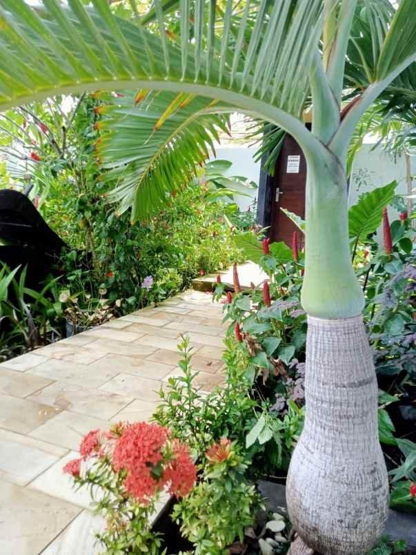 sale villa in canggu