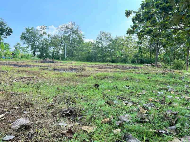 tanah 1 hektar tepi jl raya kerjo karanganyar