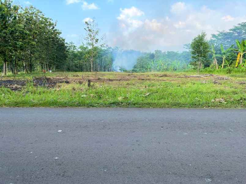 tanah 1 hektar tepi jl raya kerjo karanganyar