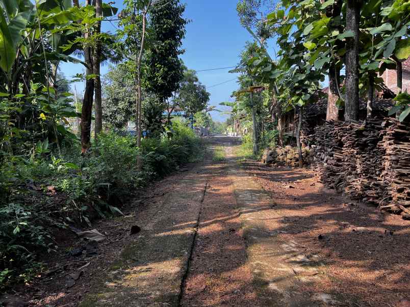 tanah 90 juta kedawung sragen