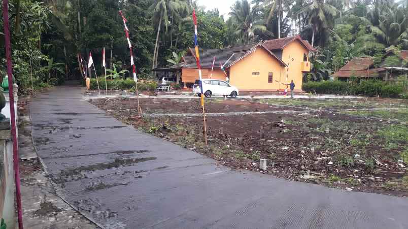 tanah boro 1 karangsewu galur