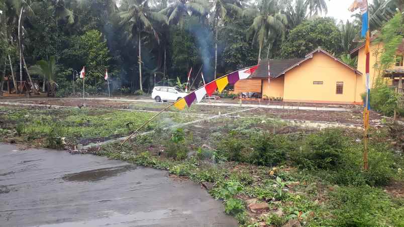 tanah boro 1 karangsewu galur