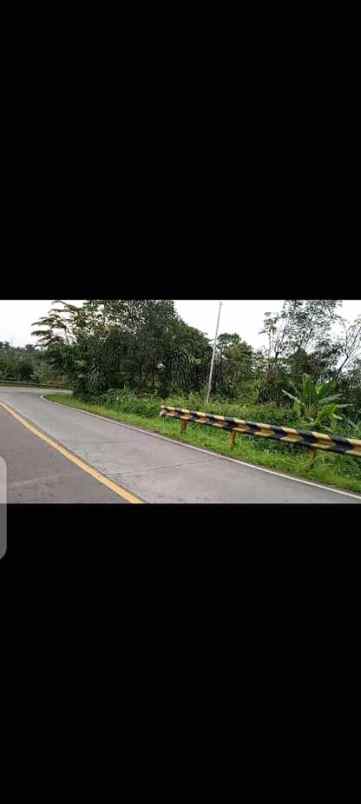 tanah cikopo jasinga bogor