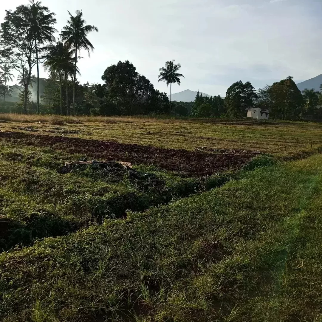 tanah cisarua puncak bogor