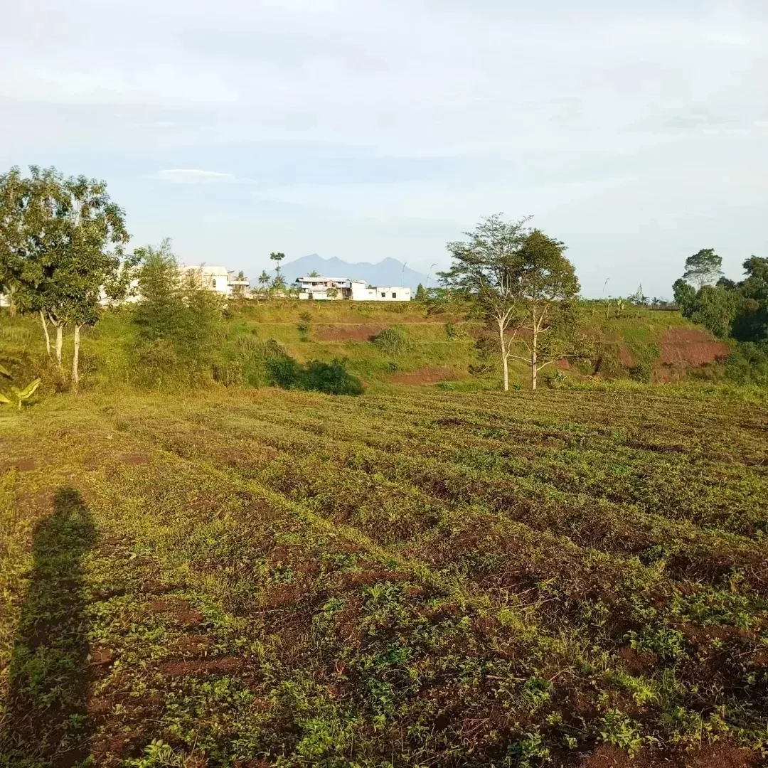 tanah cisarua puncak bogor