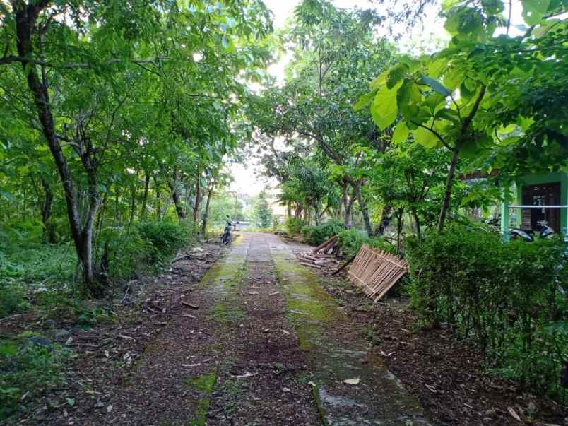 tanah dekat pasar kedawung