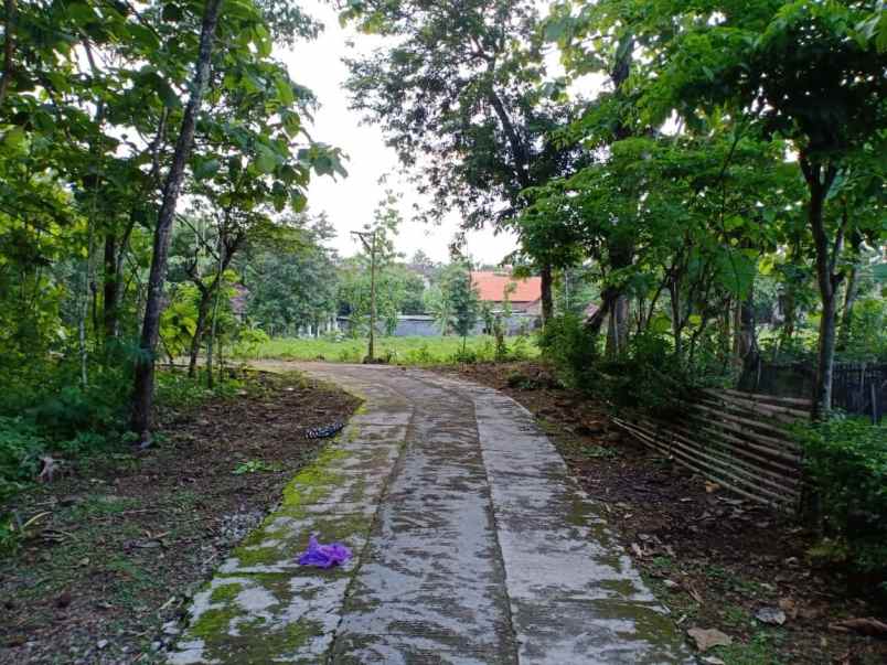 tanah dekat pasar kedawung