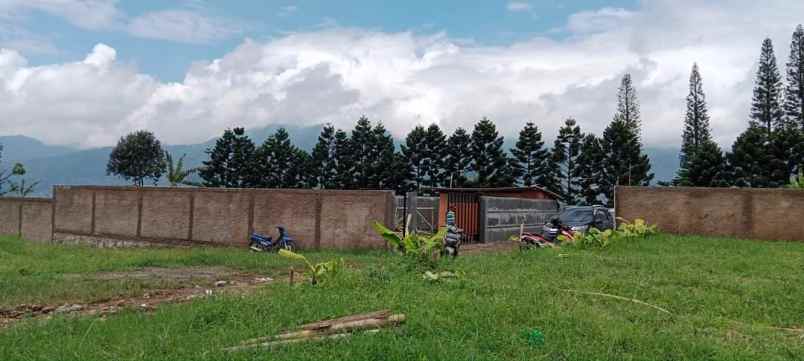 tanah desa citeko cisarua bogor