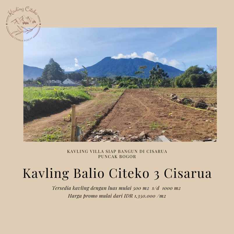 tanah desa citeko cisarua bogor