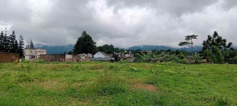 tanah desa citeko cisarua bogor