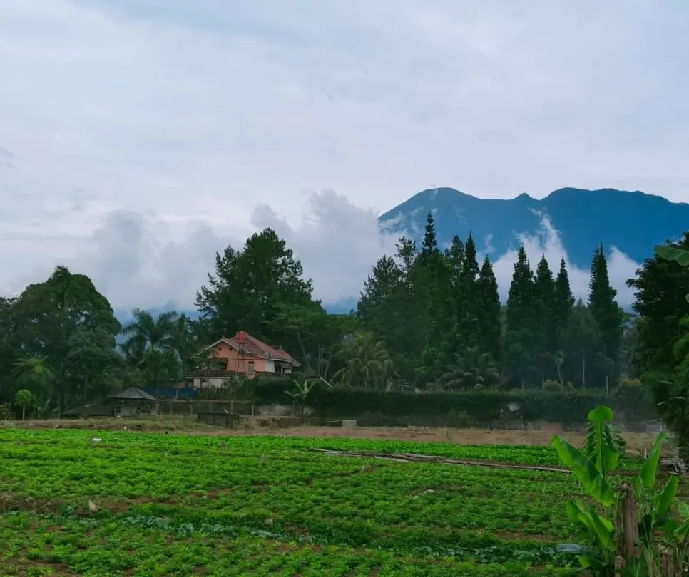 tanah desa sukamanah megamendung