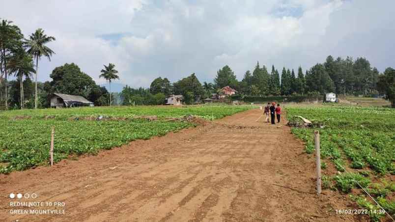 tanah desa sukamanah megamendung