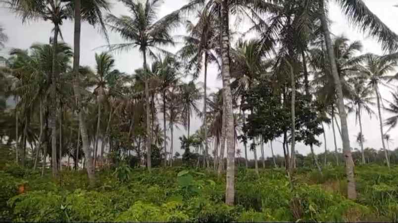 tanah di raden gunawan negeri sakti luas 8000m shm