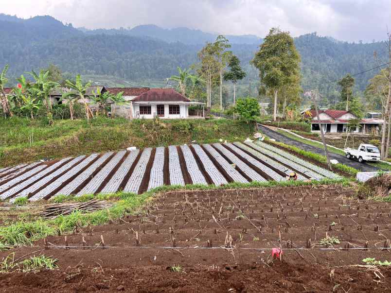 tanah istimewa 125 juta kemuning karanganyar