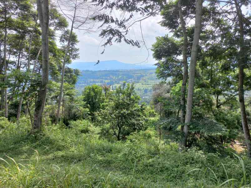 tanah jalan lodaya gunung geulis