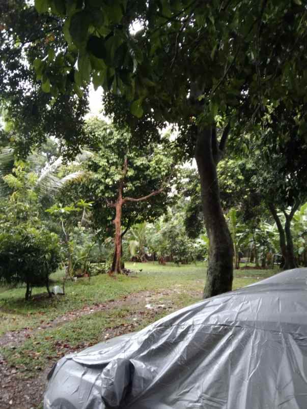 tanah jl kahfi 2 jagakarsa